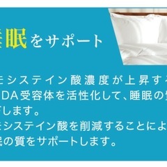ハセトール【最新式水素サプリメント】の画像