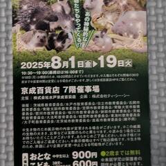 動物王国 in 京成百貨店 招待券 4枚セットの画像