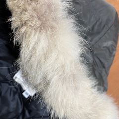 【お譲り先決定】メンズコートの画像