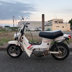 HONDA 角目シャリー 12Vの画像