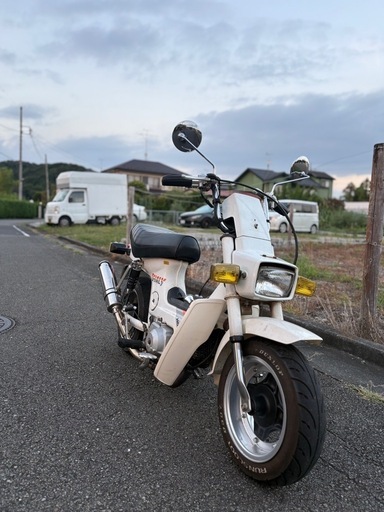 HONDA 角目シャリー 12V 引き取り限定！ 【公式通販】