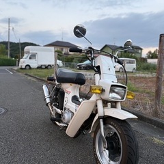 HONDA 角目シャリー 12Vの画像