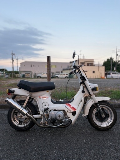 HONDA 角目シャリー 12V  引き取り限定！