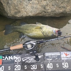 バス釣り興味ある方