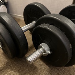 ダンベル10キロの画像