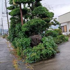 便利屋さん