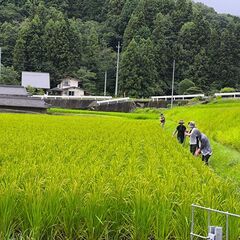 農作業手伝い募集