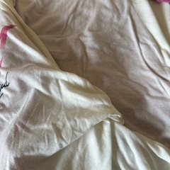 【セット売り】リボン
Tシャツ の画像