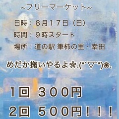 めだか掬い&めだか販売in筆柿の里
