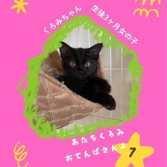 🩵くろみちゃんトライアル中🩷💛
