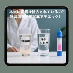 交換用浄水カートリッジ❣️JIS規格日本検査済【JF-21】3個入りの画像