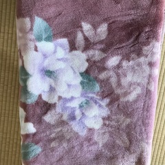 無料　毛布　その1の画像