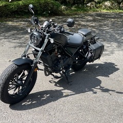 Rebel250の画像