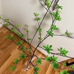 IKEA ドウダンツツジの画像