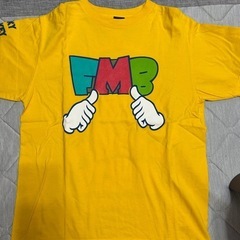 【ファンモン】LIVEタオル&Tシャツの画像