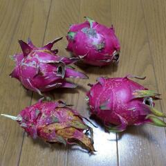 ドラゴンフルーツ　赤の画像