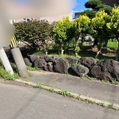 庭木　庭石　土　お譲りします。の画像