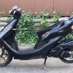 DIO AF34(ZX様)不動の画像