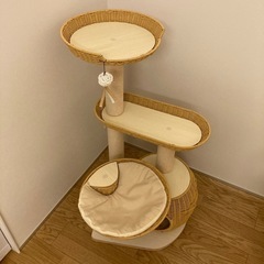 キャットタワーの画像