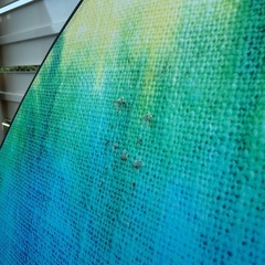 【人気】MEDINA メディーナ ソフトボードの画像