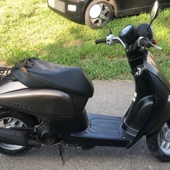 HONDA TODAY AF67の画像