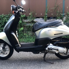 HONDA TODAY AF67の画像