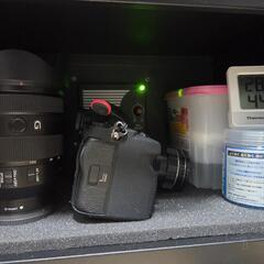SONY α7RV + 24-105mm F4 G OSS レンズセットの画像