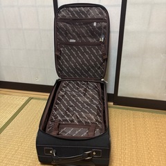 キャリーバッグ　一回使用の画像