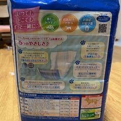 ペット用　オムツLの画像