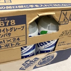 ファンタ　ホワイトグレープ　アンバサの画像