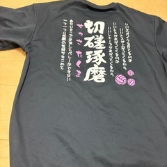 Tシャツ スポーツウェアバレーの画像