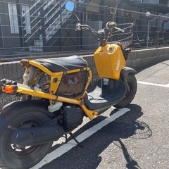 ホンダ　ズーマー　実働の画像
