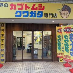 いよいよ8/15昆虫ショップオープン