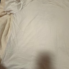 Tシャツ アウトドアの画像
