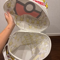ポケモン収納グッズの画像
