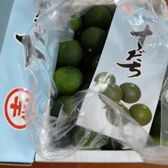 徳島県産 ハウスすだち（秀品 大玉3L　化粧箱入り　お土産の画像