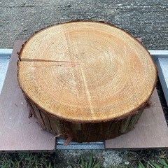 未加工木材 樹皮付き 切り株 丸太 ヒノキの画像