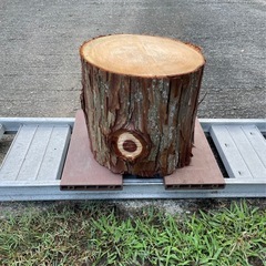 未加工木材 樹皮付き 切り株 丸太 ヒノキ