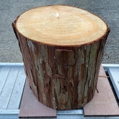 未加工木材 樹皮付き 切り株 丸太 ヒノキの画像