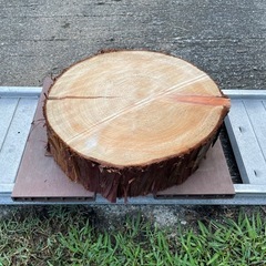 未加工木材 樹皮付き 切り株 丸太 ヒノキの画像