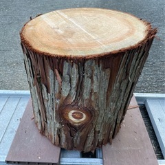 未加工木材 樹皮付き 切り株 丸太 ヒノキの画像