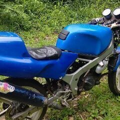 NS-1の画像