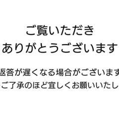 介護用  紙パンツ専用パッドの画像
