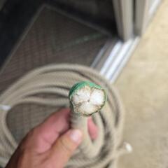 親綱三ツ打ちロープ係留ブランコにの画像
