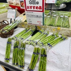 野菜　アスパラ　訳あり　規格外　細〜太　ミックス　10本1束　200円　の画像