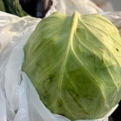 野菜セット 15日午前中まで！しばらく家空けるので処分します💦の画像