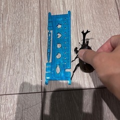 【8/14現在2匹】天然カブトムシ オスの画像