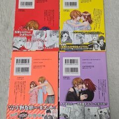 ケダモノ彼氏 5巻10巻12巻13巻 4冊 藍川さき 集英社 コミック 漫画の画像
