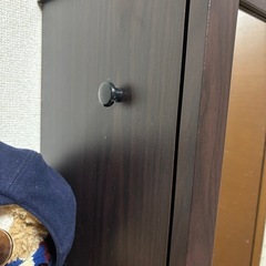 【8/23まで掲載】姿見つき収納の画像