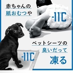 サンカ 【冷やすゴミ箱】CLEAN BOX 20L ふた付き シルバー 冷凍 クリーンボックス 生ごみの画像